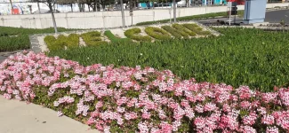 IMG-20220519-WA0038.webp