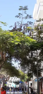 IMG-20220520-WA0018.webp