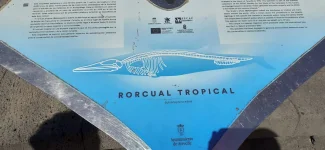 IMG-20220520-WA0021.webp