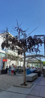 IMG-20220521-WA0014.webp