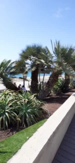 IMG-20220521-WA0022.webp