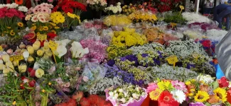 IMG-20220522-WA0059.webp