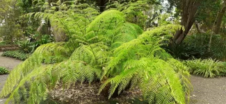 IMG-20220522-WA0119.jpg