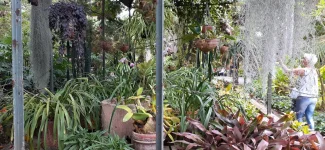 IMG-20220522-WA0140.webp