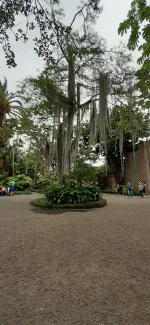 IMG-20220522-WA0137.webp