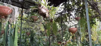 IMG-20220522-WA0139.webp