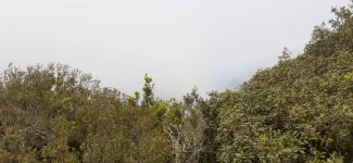 IMG-20220523-WA0098.webp