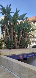 IMG-20220525-WA0073.webp