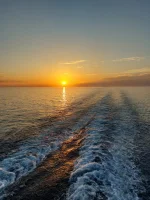 IMG-20220613-WA0039.webp