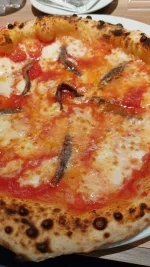 IMG-20220613-WA0041.webp