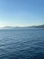 IMG-20220629-WA0000.webp