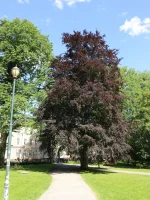 IMG-20220630-WA0072.webp