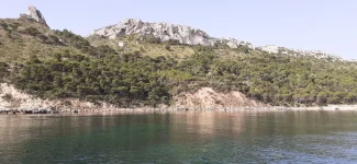 IMG-20220704-WA0005.webp