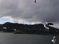 IMG-20220704-WA0031.webp