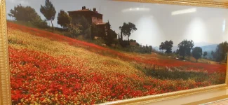IMG-20220706-WA0031.webp