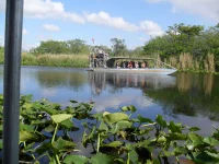 everglades.webp