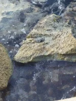 IMG-20230116-WA0046.webp