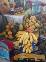 IMG-20230116-WA0047.webp