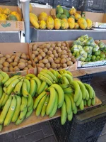IMG-20230116-WA0049.webp