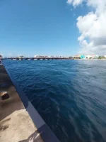 IMG-20230116-WA0057.webp