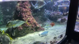 020.webp 020.webp