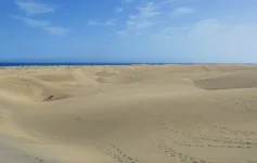 Dune di Maspalomas.webp