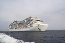 MSC Bellissima 2.jpg