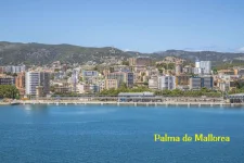 PALMA.webp