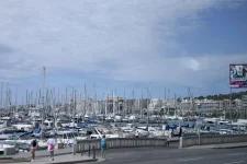 31-palma.webp