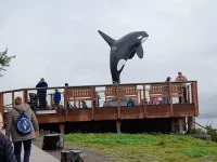 20230816_111726.webp