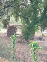 IMG-20211011-WA0004.webp