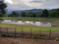 IMG-20211011-WA0007.webp