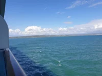 IMG-20211011-WA0017.webp