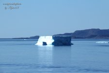Iceberg 04.jpg