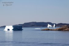 Iceberg 06.jpg