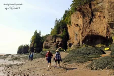 Fundy Bay 04.webp