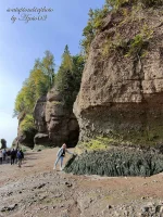 Fundy Bay 04a.webp