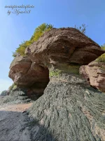 Fundy Bay 15a.webp