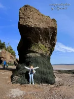 Fundy Bay 17.webp