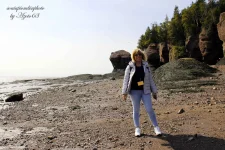 Fundy Bay 15b.webp