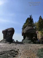 Fundy Bay 18.webp