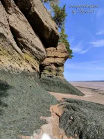 Fundy Bay 21.webp