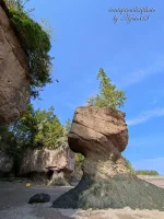 Fundy Bay 24.webp