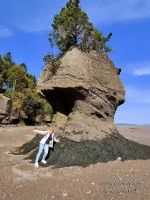 Fundy Bay 25.webp