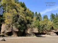 Fundy Bay 26.webp