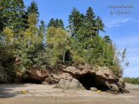 Fundy Bay 27.webp