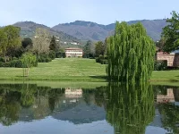 IMG_20240405_123459724.jpg