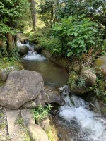 IMG_20240405_122251503_HDR.webp