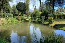 IMG_20240405_122705538_HDR~2.webp
