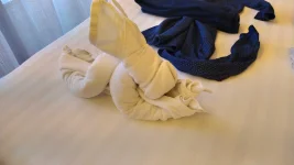 IMG_20211021_140532.webp